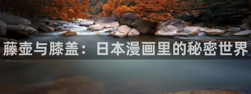 韩漫歪歪漫画免费首页版：藤壶与膝盖：日本漫画里的秘密世界