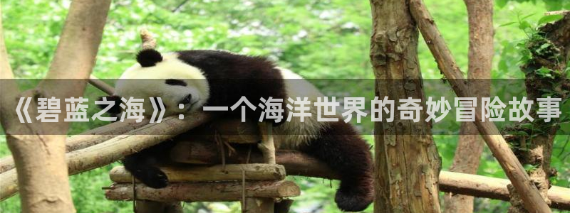 亲亲漫画网韩漫：《碧蓝之海》：一个海洋世界的奇妙冒险故事