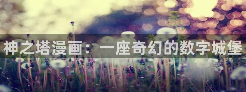 韩漫日漫网址：神之塔漫画：一座奇幻的数字城堡