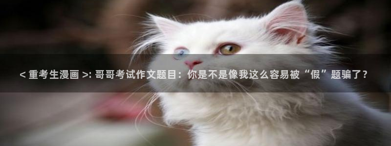 三级韩漫在线观看：< 重考生漫画 >: 哥哥考试作文题目：你是不是像我这么容易被“假”题骗了？