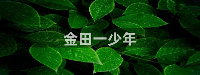 韩漫漫画网免费：金田一少年