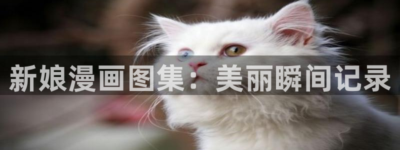 龙的新娘韩漫画免费阅读无删减：新娘漫画图集：美丽瞬间记录