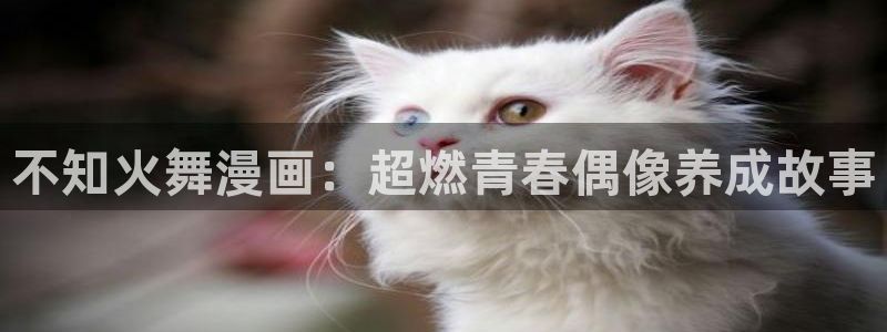 偿还韩漫免费在线观看：不知火舞漫画：超燃青春偶像养成故事