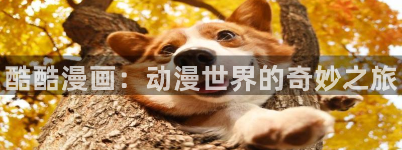歪歪漫画韩漫免费登录 首页：酷酷漫画：动漫世界的奇妙之旅